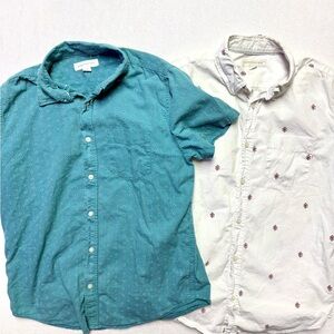 2 Aeropostale Teal and White Short-Sleeve Button-Down Shirt